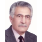 سید محمدجواد دانشگر