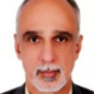محمدرضا برقی