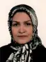 میترا محیط